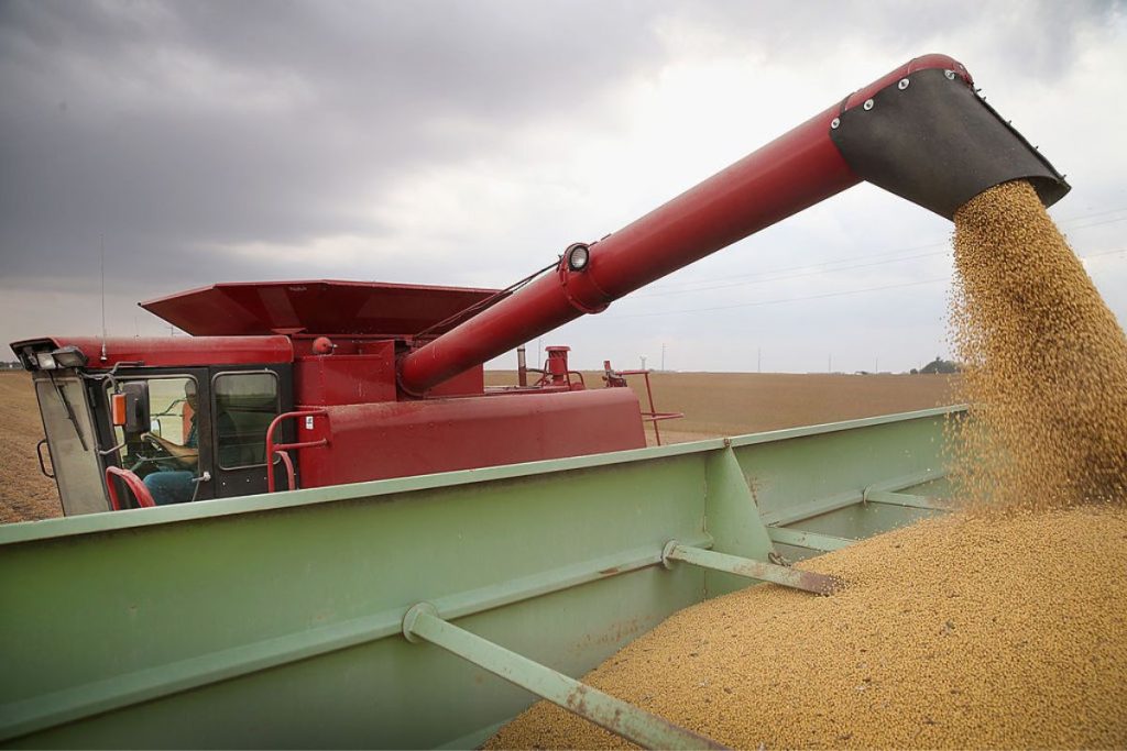 Produtores de soja receberão R$ 1,3 bilhão da Bayer; pagamento será em juízo