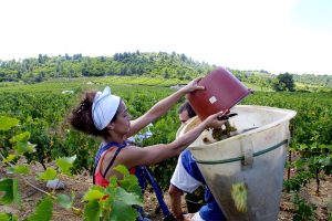 Mulheres no agronegócio: uma participação que apresenta crescimento