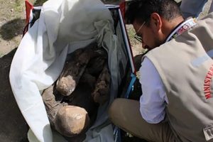 Múmia de 600 anos é encontrada em bolsa de aplicativo de entrega no Peru