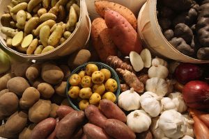 Preços dos alimentos caem pela 11º mês, informa a FAO