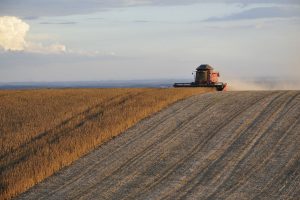 Mato Grosso desbanca a Argentina e se torna o 3º maior produtor de soja