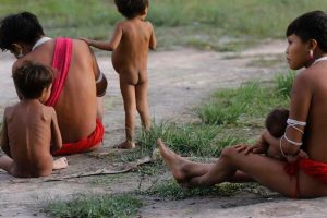 Yanomami-remédio-malária
