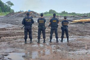 Polícia Federal e Ibama apreendem madeira ilegal no Pará