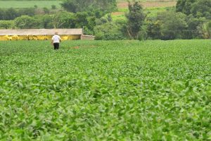 Governo sinaliza mudanças no seguro rural para atender produtores