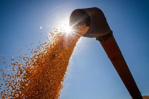 Portos do arco norte representam 31,6% das exportações de milho e soja, em março