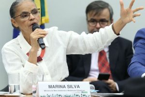 "Nosso tempo para agir está se esgotando", diz Marina Silva