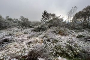 SC registra primeira neve de inverno