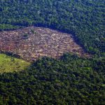 Prorrogada adesão a programa de combate ao desmatamento na Amazônia