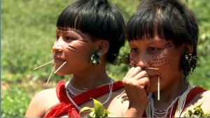 Censo 2022: Brasil tem 1,7 milhão de indígenas, metade vive na Amazônia Legal