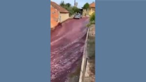 As ruas da cidade de Anadia, situada a 30 quilômetros de Coimbra, em Portugal, foram inundadas por uma "correnteza" de vinho no domingo (10).