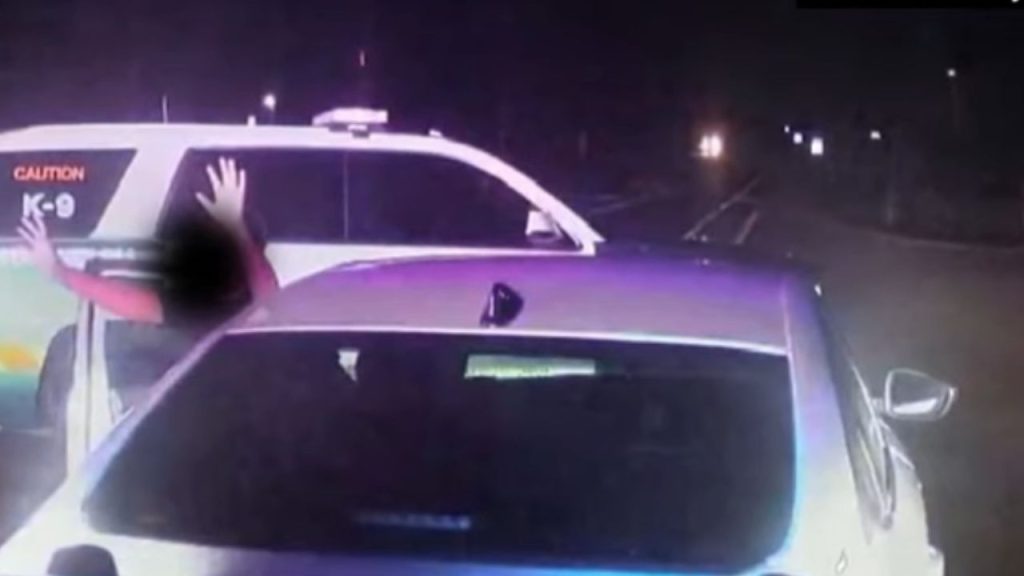 Duas crianças, de 10 e 11 anos, foram paradas por policiais no norte da Flórida, nos Estados Unidos, dirigindo um carro.