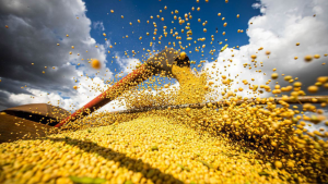 A produção de grãos no Brasil na safra 2022/23 está estimada em 322,8 milhões de toneladas, acréscimo de 50,1 milhões de toneladas.