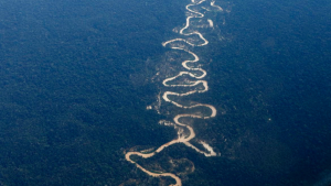Um grupo para analisar a viabilidade do emprego das Forças Armadas na fronteira terrestre nos estados da Amazônia Legal, foi criado.