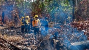 Os incêndios no estado do Amazonas somaram 1.664 focos de fogo ativos identificados por satélite, informou o Ministério de Meio Ambiente.
