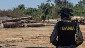 Ibama cria plataforma para acompanhar recuperação ambiental
