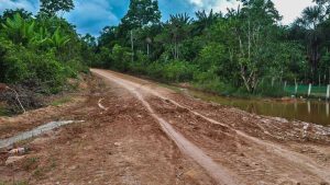 Desmatamento na Amazônia cai em setembro, aponta o Inpe