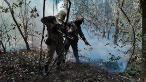 A Defesa Civil Nacional e o Ministério da Defesa ajudarão no combate aos incêndios que estão ocorrendo no norte do Pantanal.