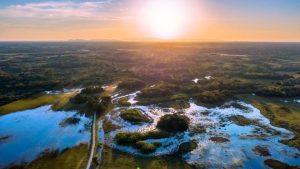 Patrimônio Nacional do Brasil e reconhecido como Reserva da Biosfera pela Organização das Nações Unidas para a Educação, a Ciência e a Cultura (Unesco), o Pantanal - considerado o menor bioma em extensão territorial - tem uma grande importância para o setor agropecuário brasileiro.