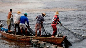 O governo federal vai pagar um auxílio extraordinário de R$ 2.640 para pescadores artesanais beneficiários do seguro-defeso cadastrados nos municípios da Região Norte em situação de emergência por causa da seca.
