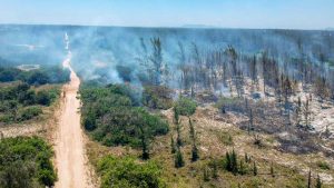 Um incêndio atinge o Parque Natural Municipal da Restinga de Massambaba, em Arraial do Cabo, na Região dos Lagos (RJ), há três dias.