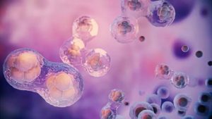 Câncer e compostos bioativos conhecendo os nutracêuticos quimioprotetores