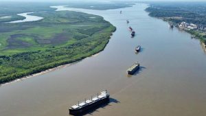 Avanço da hidrovia Paraguai-Paraná acelera desmatamento e pode decretar o fim do Pantanal