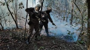 incêndios-Pantanal