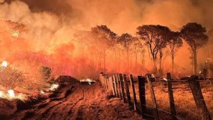 Em meio a incêndios, Marina Silva divulga grupo de trabalho para proteção do Pantanal