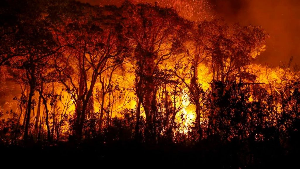 Pantanal tem recorde histórico com mais de 3 mil focos de incêndio