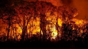 Pantanal tem recorde histórico com mais de 3 mil focos de incêndio