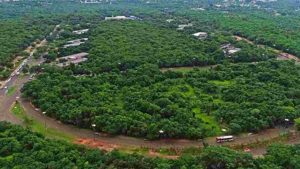 Novo acordo judicial aponta que áreas de preservação não serão desmatadas no Parque dos Poderes