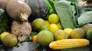 Dados da Anvisa mostram que 25% dos alimentos de origem vegetal consumidos no Brasil têm resíduos de agrotóxicos acima do permitido