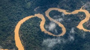 CCJ pode votar projeto que reduz reserva legal na Amazônia