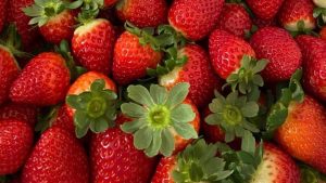 Frutas-vermelhas-podem-reduzir-risco-de-demência