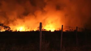 O Ministério de Estado do Meio Ambiente e Mudança do Clima fez declaração de emergência ambiental em risco de incêndios florestais no país