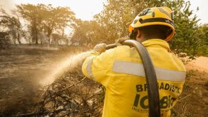 O pico das queimadas aconteceu nos meses de setembro e outubro, atingindo 4 milhões de hectares que foram queimados