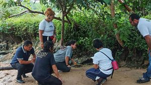 Pesquisadores identificaram quatro novos sítios arqueológicos no município de Anajás, no arquipélago do Marajó, no Pará, a partir de achados de cerâmica indígena.