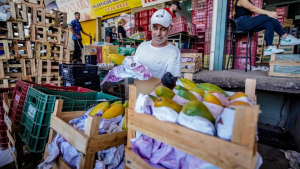O estudo analisa os preços de frutas e hortaliças comercializados em dez centrais de Abastecimento (Ceasas) pelo país.