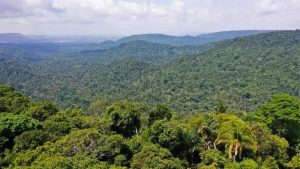 Desmatamento em áreas protegidas da Amazônia é o menor em 9 anos, diz Imazon