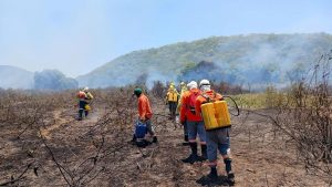 O incêndio que, desde o dia 27 de janeiro, estava atingindo a região da Serra do Amolar,, em Mato Grosso do Sul, está sob controle, mas deixou 2,7 mil hectares destruídos, em uma área considerada Patrimônio Natural da Humanidade.
