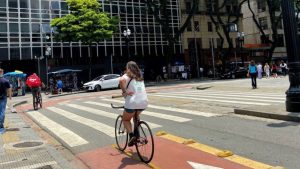 O uso de bicicleta como meio de transporte na cidade de São Paulo tinha prevalência por volta de 5% em 2015, quando um levantamento com 1.500 pessoas foi conduzido por pesquisadores da Escola de Artes, Ciências e Humanidades da Universidade de São Paulo (EACH-USP).
