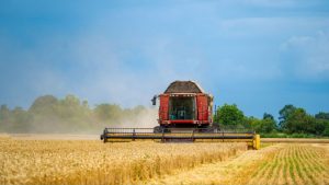 Na agricultura empresarial, a aplicação do crédito rural atingiu R$232 bilhões de julho a janeiro, com alta de 18% em relação ao ano anterior