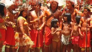 Antropólogos propõem incluir povo indígena em debate sobre bioeconomia