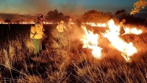 Roraima é o estado com maior número de incêndios em fevereiro de 2024
