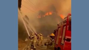 Incêndios florestais no Chile causam dezenas de mortes