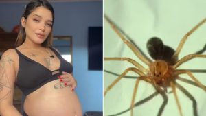 A bacharel em direito Ketisley Aparecida Freitas Lessa, de 29 anos, grávida de oito meses, foi picada por uma aranha-marrom em Apiaí.