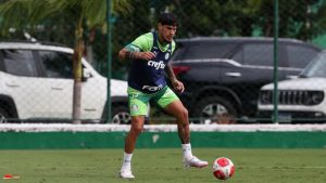 O zagueiro Gustavo Gómez iniciou o processo de transição física e participou de todas as atividades com o restante do elenco do Palmeiras.