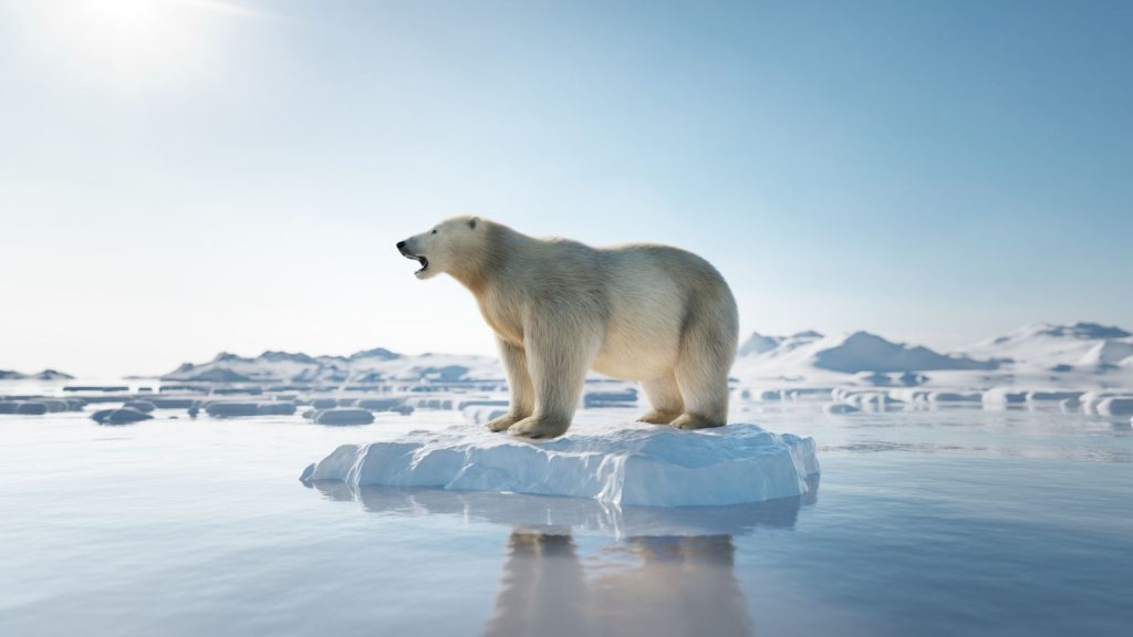 Uma pesquisa publicada na revista "Nature", mostrou que o derretimento do gelo polar diminuiu a velocidade de rotação do planeta Terra.