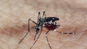 O Ministério da Saúde da Argentina afirmou que a vacina contra a dengue, a Qdenga, não está "validada para controlar a transmissão da doença" pela Organização Pan-Americana da Saúde (OPAS), afirmando que o governo nacional continuará abordando a situação sanitária "sem dar espaço para aqueles que buscam o desenvolvimento de negócios".