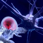 neurotecnologia-permitira-alterar